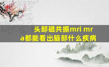 头部磁共振mri mra都能看出脑部什么疾病